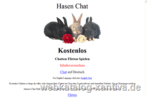 Hasen Chat