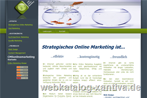 Online Marketing - Suchmaschinen Marketing - Web Design