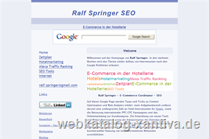 Ralf Springer SEO