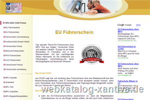 EU Fhrerschein Fahrschulen Fuehrerschein MPU Frei