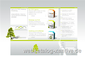 TYPO3 Webdesign, Suchmaschinenoptimierung, Gestaltung by analog multimedia