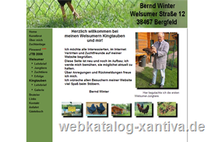 Bernd Winter - Welsumer und Kingtauben